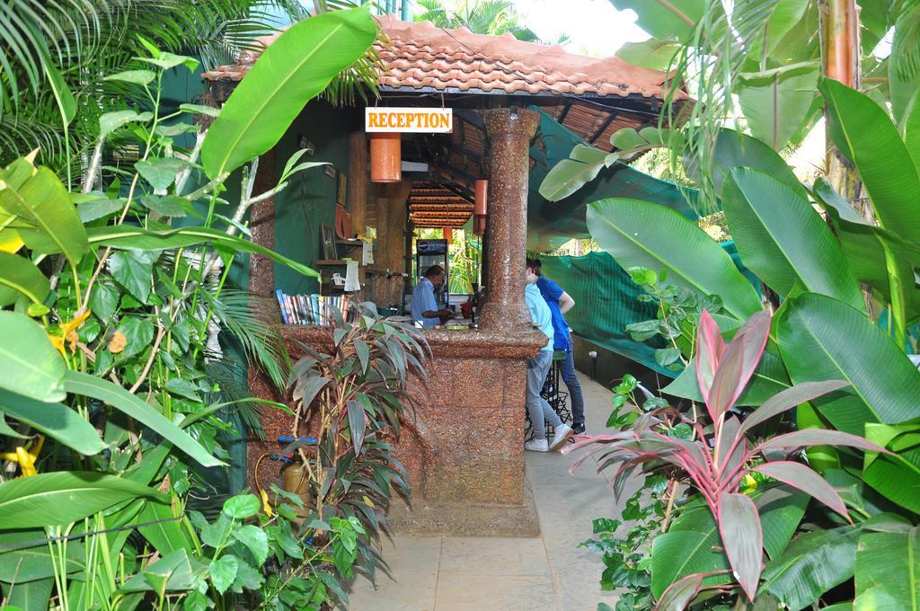 Villa Theresa Beach Resort Calangute Exteriör bild