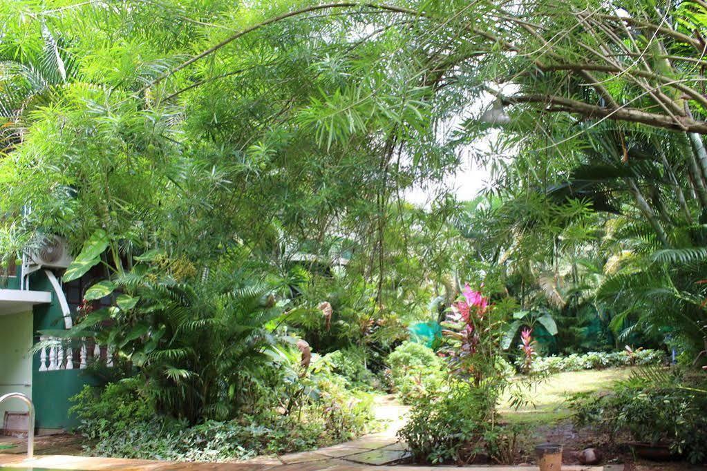 Villa Theresa Beach Resort Calangute Exteriör bild
