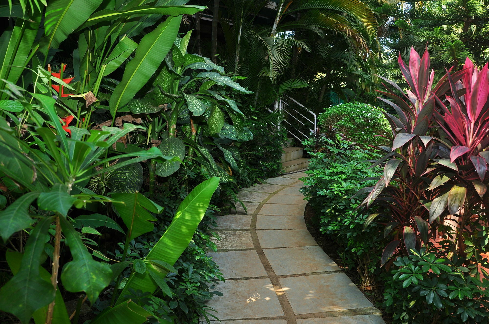 Villa Theresa Beach Resort Calangute Exteriör bild